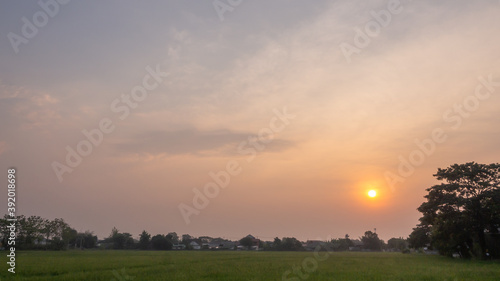 Colourful sunrise sky with green rice field in a country site. landscape background.