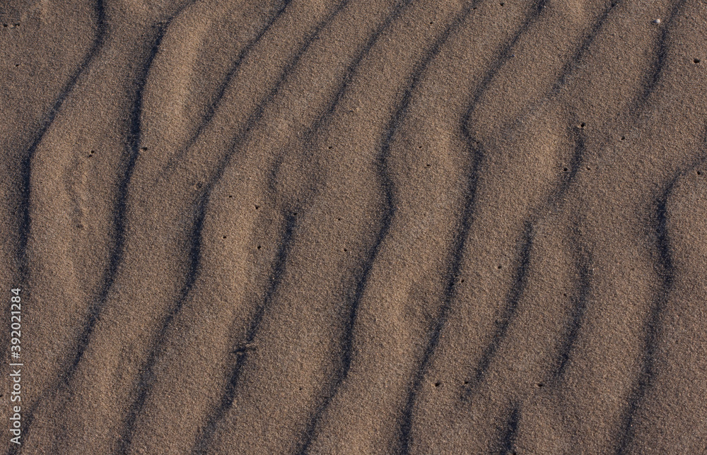 Pattern in the sand left by the waves at Namaqua National Park Pattern in the sand left by the waves at Namaqua National Park