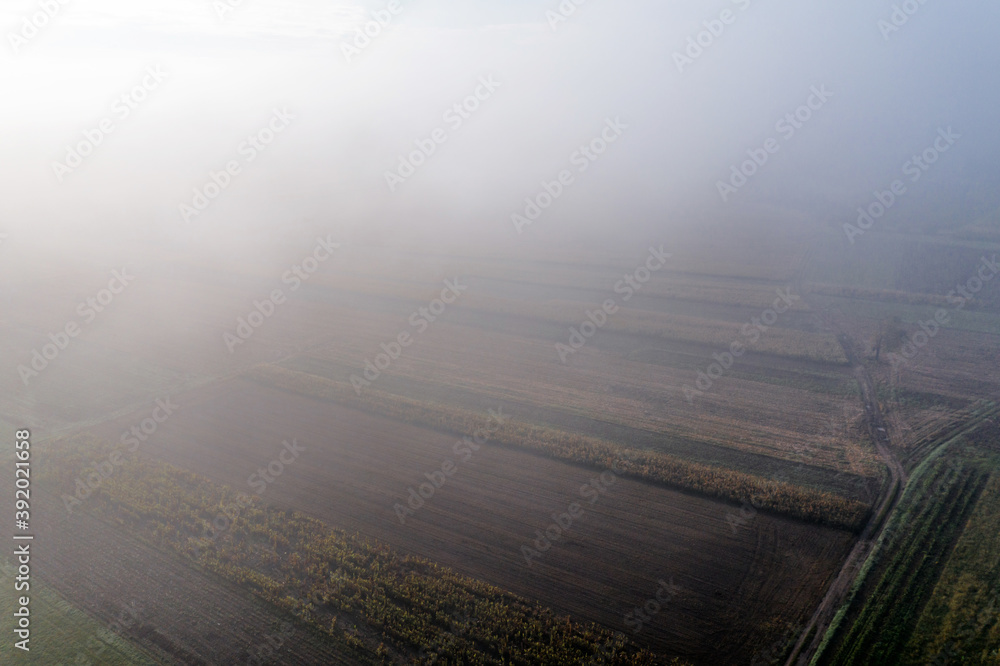 Fototapeta premium A drone view of the stunning expanse of the Vosges foothills. Autumn vineyards in the morning fog.