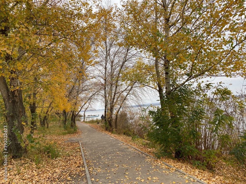 Naklejka premium path in autumn