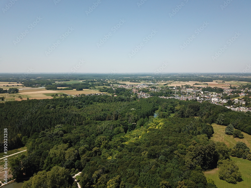 The forest of Cheverny, in Loire Valley, view from above.