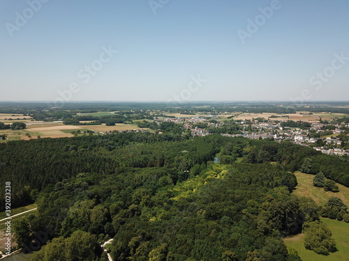 The forest of Cheverny  in Loire Valley  view from above.