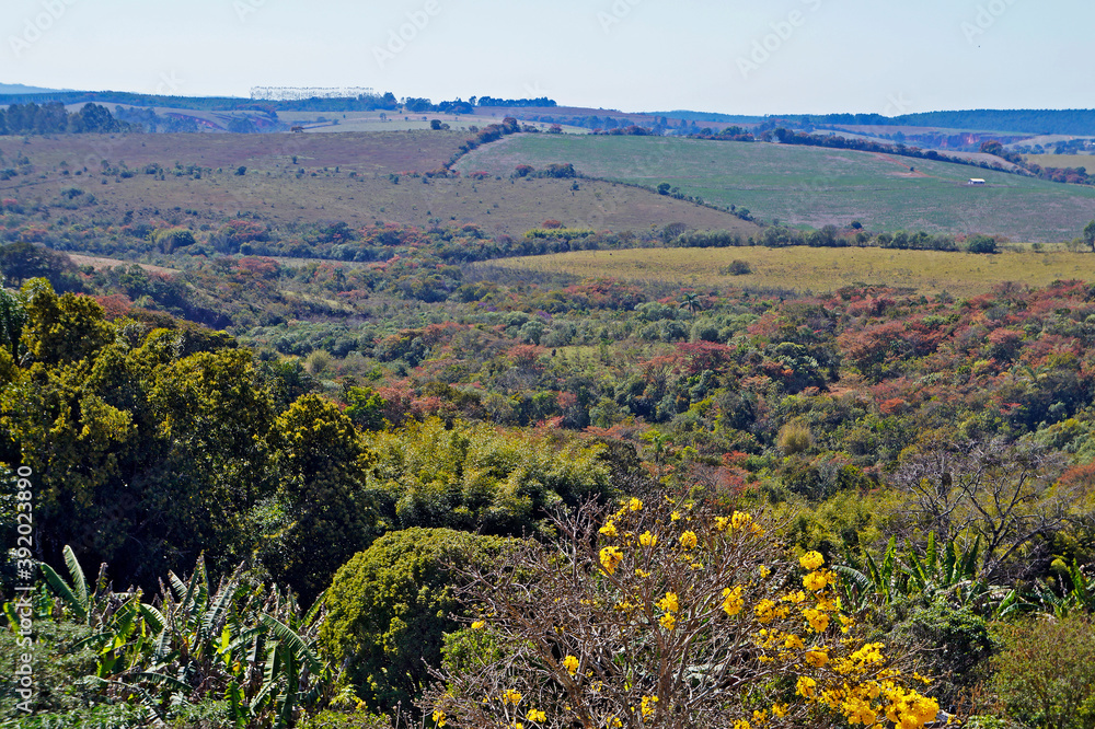 Typical countryside in Minas Gerais, Brazil