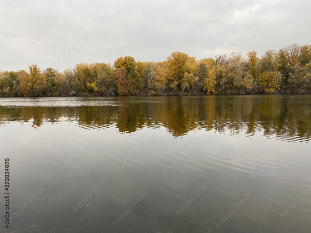 Fototapeta premium autumn trees reflected in water