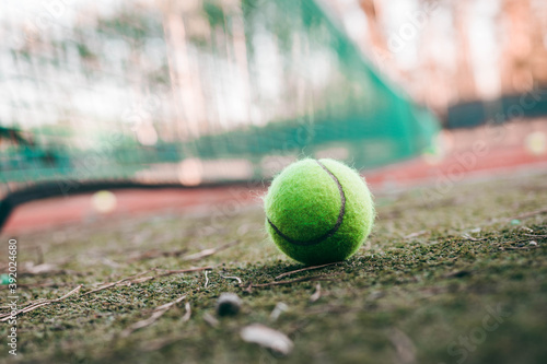 ball on the lawn tennis field © Natalia Rzhevskaia