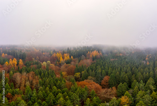 Wide colorful forest aerial landscape from above at a foggy autumn day with copyspace at the top of the image.