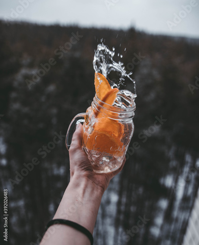 orange slice on a forest background