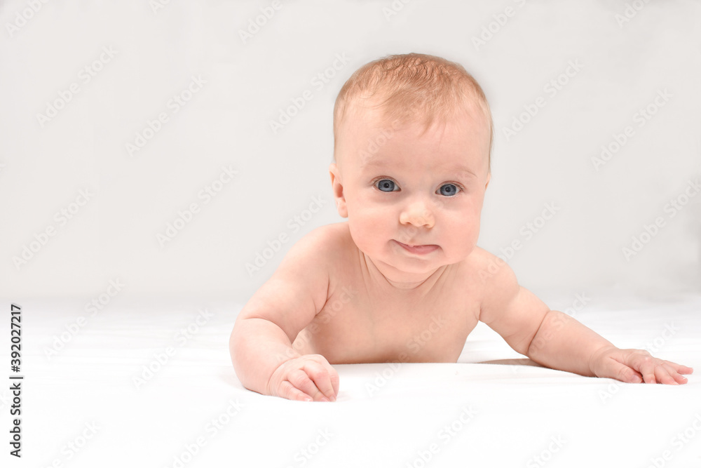 Adorable, caucasian baby girl or boy lying on stomach, on white blanket, looking at camera, on white background. Healthy skin. Baby care concept. Adorable, caucasian baby girl or boy lying on stomach, on white blanket, looking at camera, on white background. Healthy skin. Baby care concept.