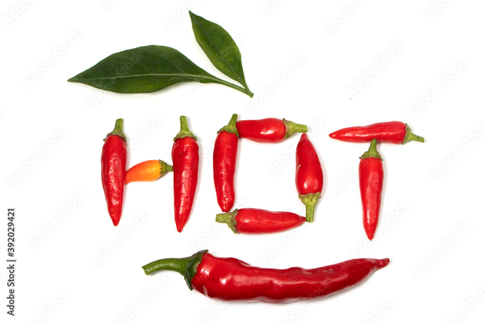 Hot word made from red hot chili pepper on white background Hot word made from red hot chili pepper on white background
