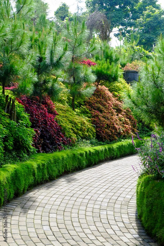 Obraz premium beautiful of nature flowers garden and green trees