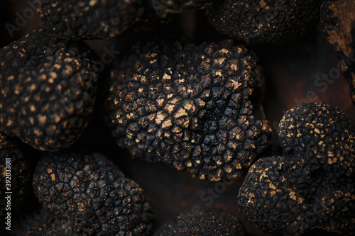 Black truffles on dark background. Close up