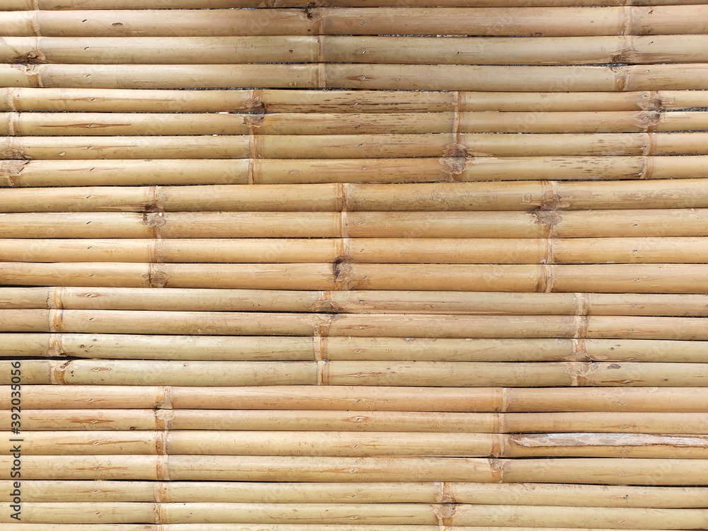 Bamboo pattern surface texture for background design. Bamboo pattern surface texture for background design.