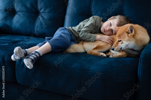 Preschool boy watching TV with his Shiba inu dog on blue sofa. People on the couch. Leisure during the quarantine