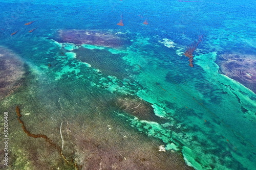 Tropical Sea Floor around Florida Keys