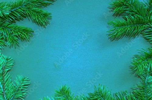 Green branches of a Christmas tree on a blue background