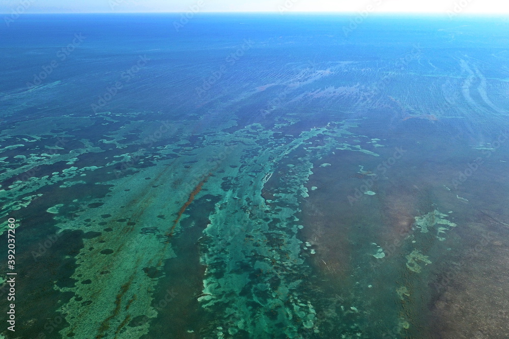 Tropical Sea Floor around Florida Keys Tropical Sea Floor around Florida Keys