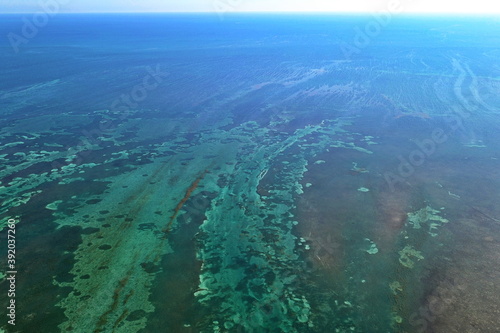 Fototapeta Naklejka Na Ścianę i Meble -  Tropical Sea Floor around Florida Keys