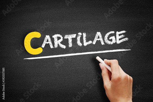 Cartilage text on blackboard, concept background