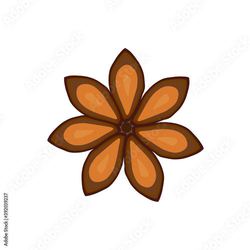 Delicious star anise icon