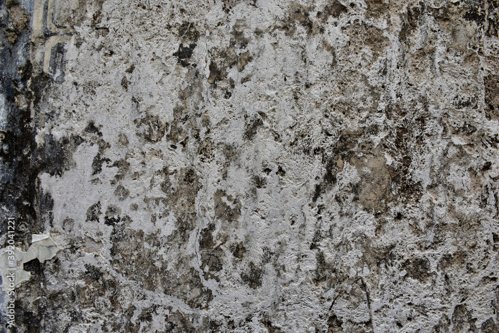 The background is made of rugged, gray-colored plaster walls. The background is made of rugged, gray-colored plaster walls.