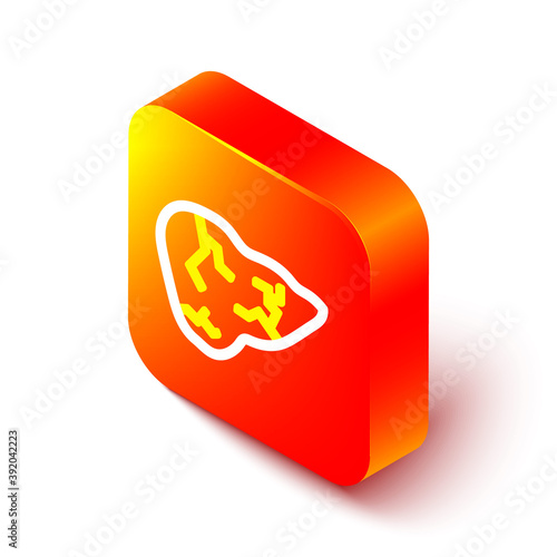 Isometric line Hepatitis virus on the human liver icon isolated on white background. World Hepatitis Day. Orange square button. Vector.