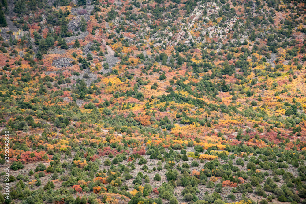 Aerial view of landscape during autumn Aerial view of landscape during autumn