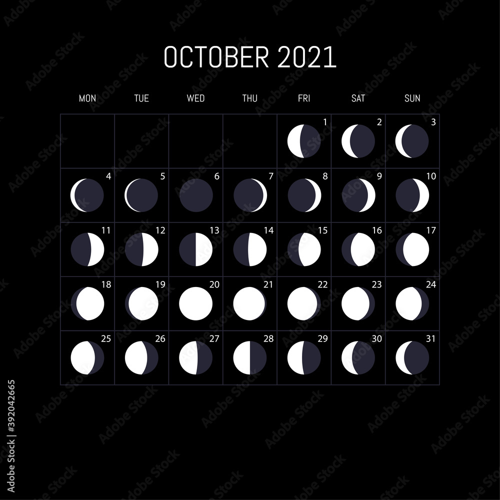 My Image 31
