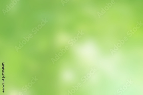 Green blurred background for design and decoration.