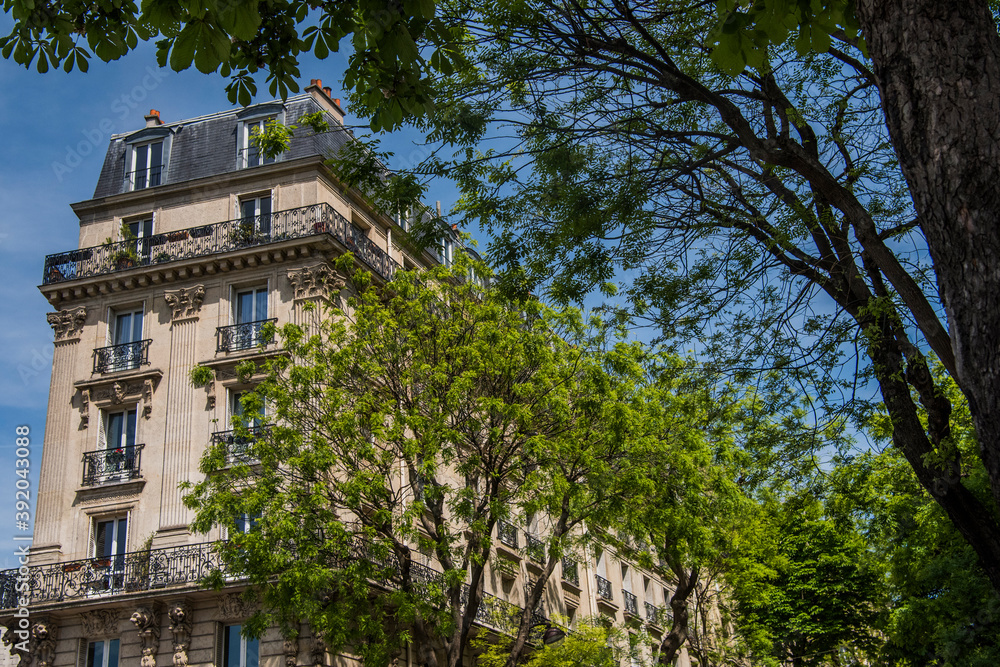 View of a building and trees on a sunny day in Paris View of a building and trees on a sunny day in Paris