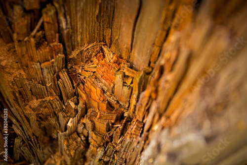 Fototapeta Naklejka Na Ścianę i Meble -  Autumn mountain landscape Wielka Racza