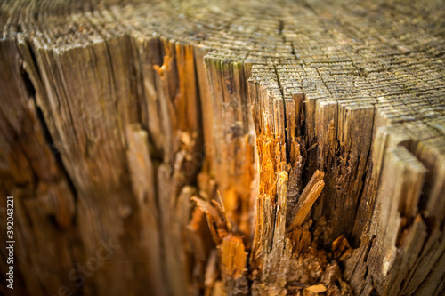 Fototapeta Naklejka Na Ścianę i Meble -  Autumn mountain landscape Wielka Racza