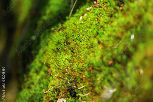 Fototapeta Naklejka Na Ścianę i Meble -  Autumn mountain landscape Wielka Racza