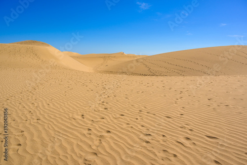 Sand Dunes in Gran Canaria with beautiful coast and beach at Maspalomas  Canarian Islands  Spain