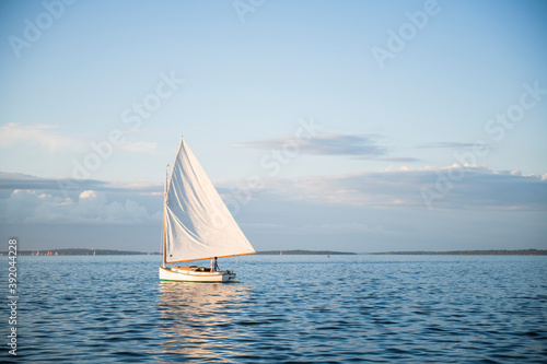 Fotografie Single one catboat sailboat sailing during golden hour summer sunset