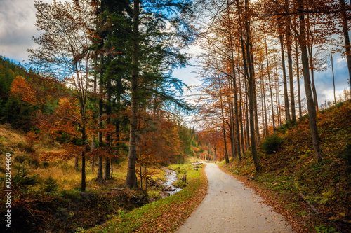 Fototapeta Naklejka Na Ścianę i Meble -  Autumn mountain landscape Wielka Racza