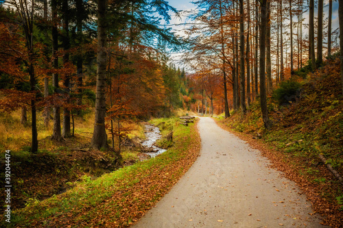 Fototapeta Naklejka Na Ścianę i Meble -  Autumn mountain landscape Wielka Racza