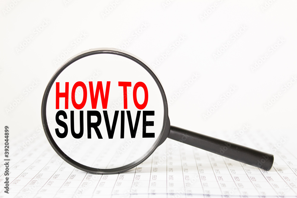 words HOW TO SURVIVE in a magnifying glass on a white background. business concept words HOW TO SURVIVE in a magnifying glass on a white background. business concept