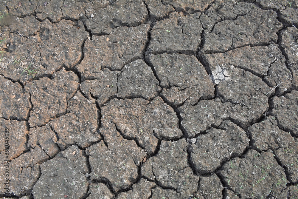 Texture of the dried earth with clay and sand, close-up. Dry cracked earth background Texture of the dried earth with clay and sand, close-up. Dry cracked earth background