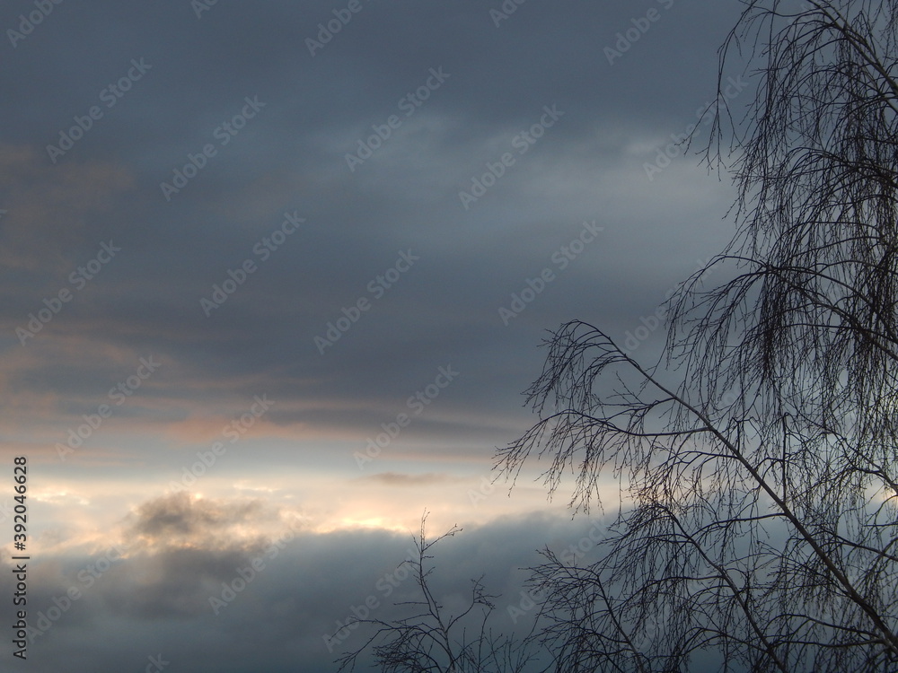 Obraz premium autumn twilight