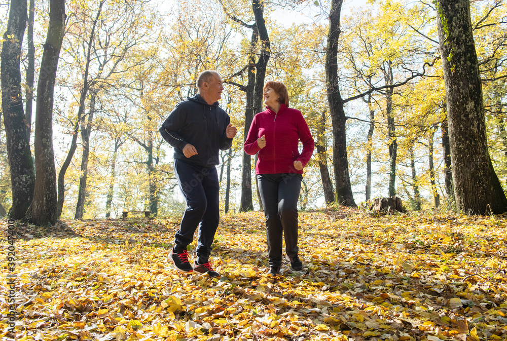Fototapeta premium Seniors jogging on a forest
