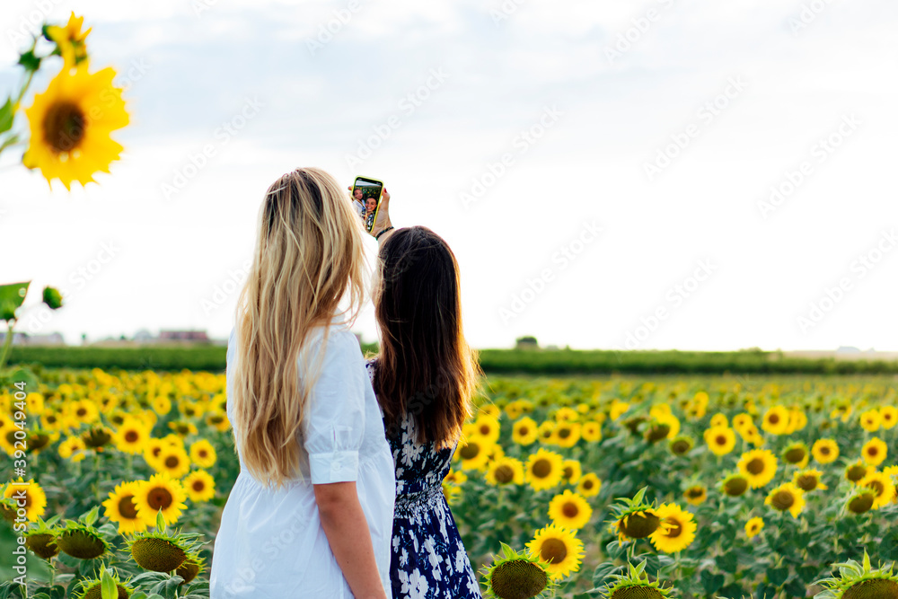 A couple of attractive young women one blonde and the other brunette posing in their designer dresses in a field of sunflowers using their smartphone A couple of attractive young women one blonde and the other brunette posing in their designer dresses in a field of sunflowers using their smartphone