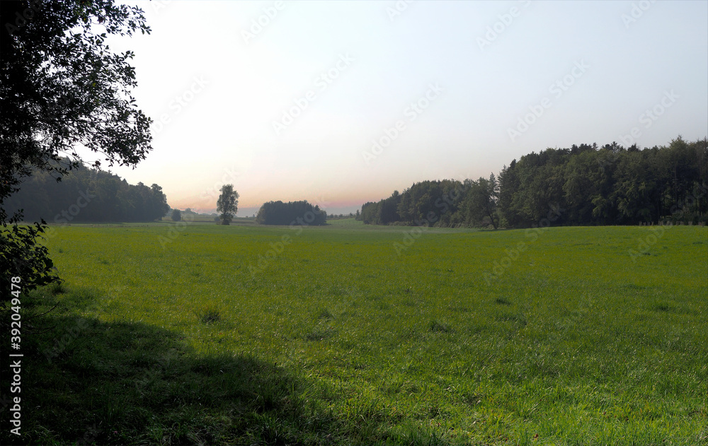 Fototapeta premium Wiese bei Raderrach