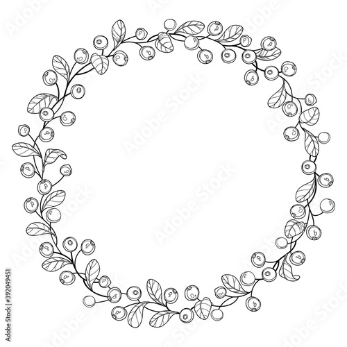 Round wreath of outline lingonberry or cowberry twigs with berry and leaf in black isolated on white background.