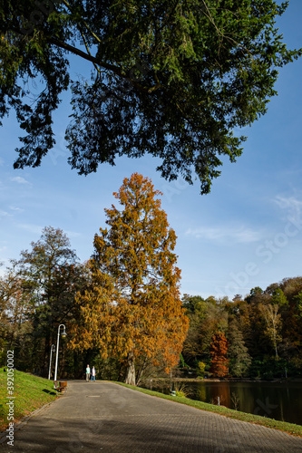 Obraz na płótnie Herbstland w salonie