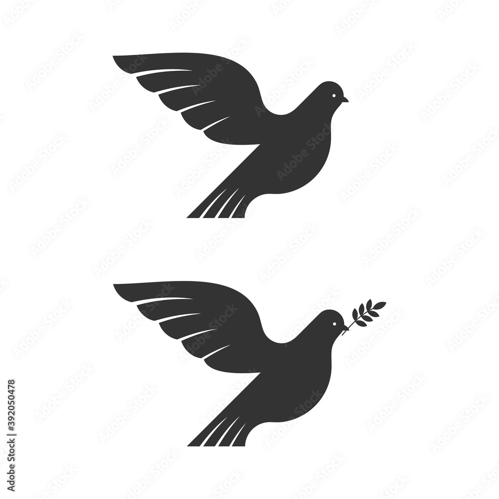 Fototapeta premium Dove, a symbol of peace and purity. The biblical symbol of the Holy Spirit.