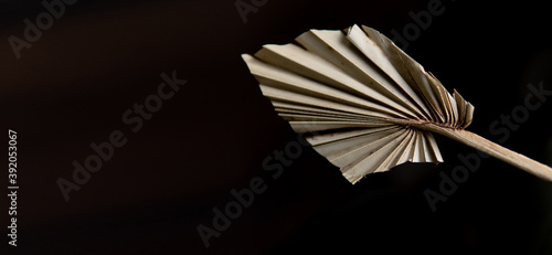 palm leaf spear on a dark background close up with a place for an inscription