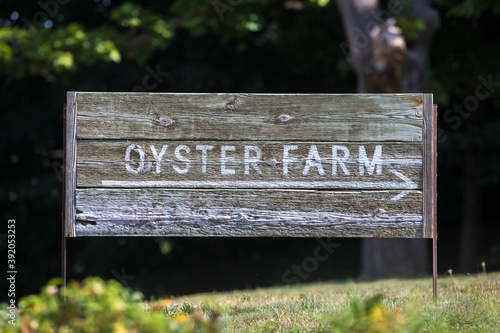 Wooden Oyster Farm Sign on grassy hill photo