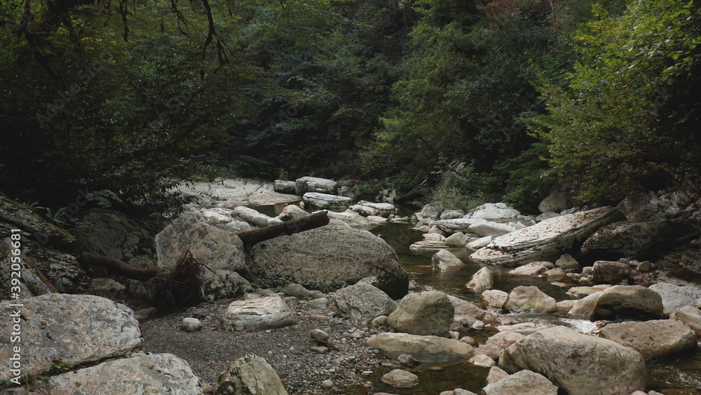 Mountain river among the rocks. Carpathian river in the forest. A river in the Sochi gorge. Mountain river among the rocks. Carpathian river in the forest. A river in the Sochi gorge.
