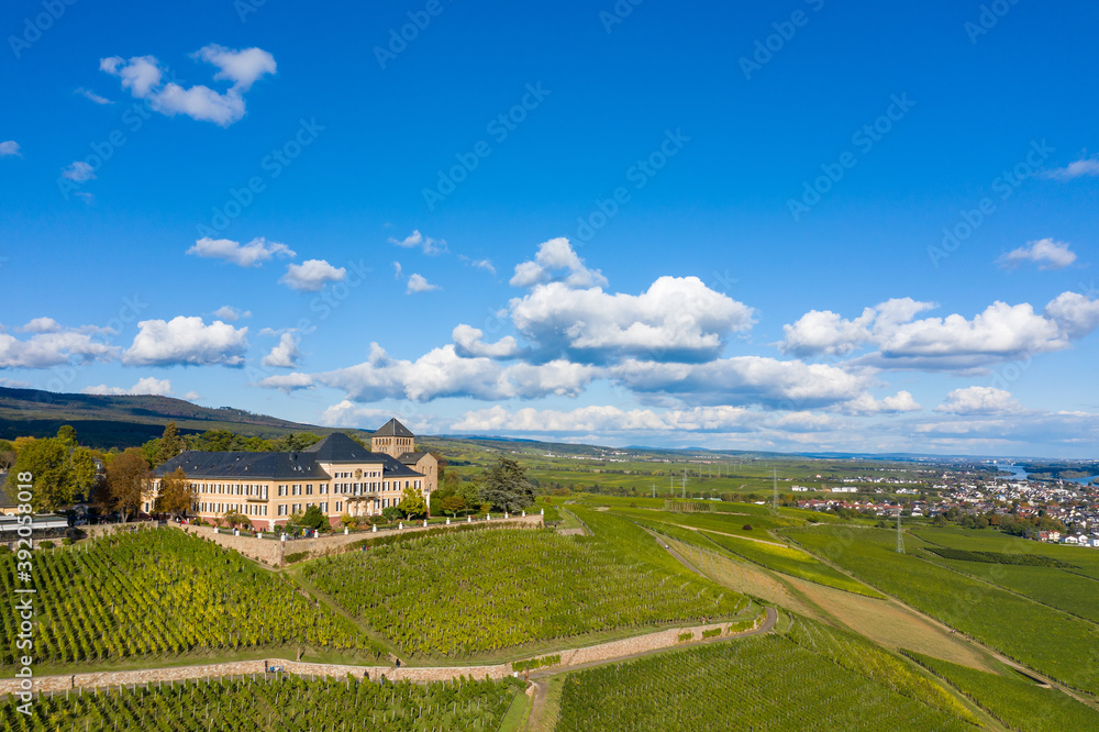 Bird's eye view of the vineyards of Johannisberg / Germany in the Rheingau together with the castle