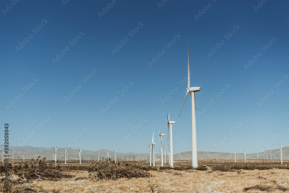 Landscape image of Palm Springs windmills landmark against blue skies Landscape image of Palm Springs windmills landmark against blue skies